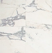 Daltile - Calacatta Gold Marble - Calacatta-Gold - Square