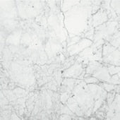 Daltile - Carrara Gioia Marble - Carrara-Gioia - Square