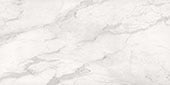 Daltile - Elemental Selection Panoramic Porcelain Surfaces - Calacatta - Slab