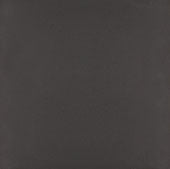 Daltile - Exhibition - Black - Rectangle
